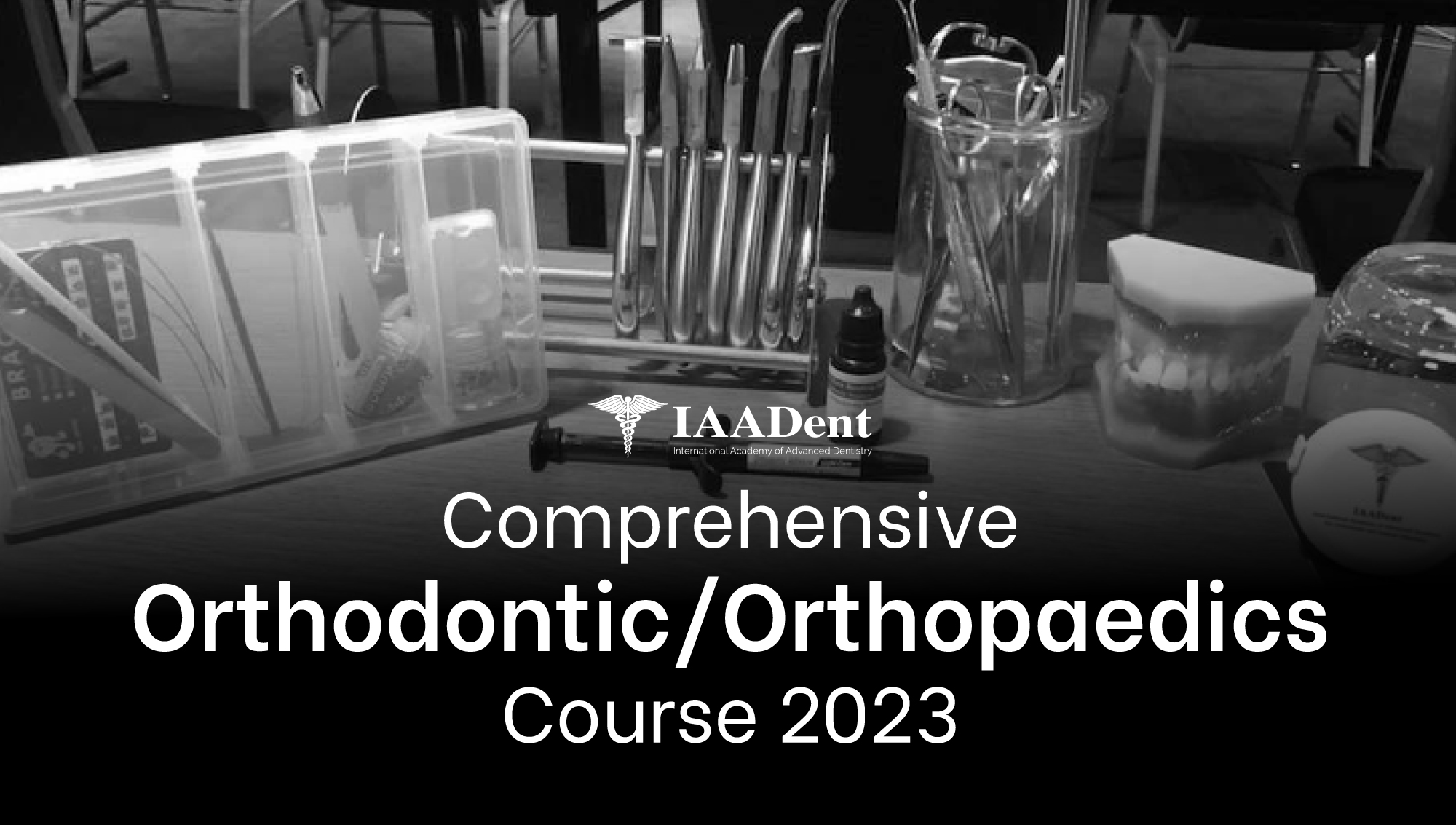 2023 IAADent Orthodontic Course with MINIMAX