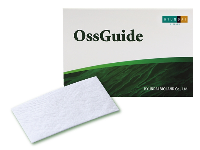 OssGuide Collagen Membrane