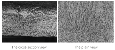 OssGuide Collagen Membrane